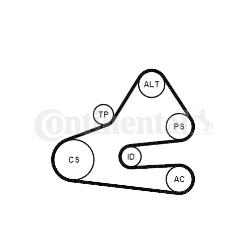 Keilrippenriemensatz CONTINENTAL CTAM 6PK1613K1