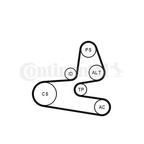 Keilrippenriemensatz CONTINENTAL CTAM 6PK1564K1