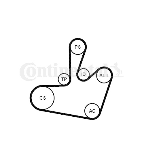 Keilrippenriemensatz CONTINENTAL CTAM 6PK1548K1
