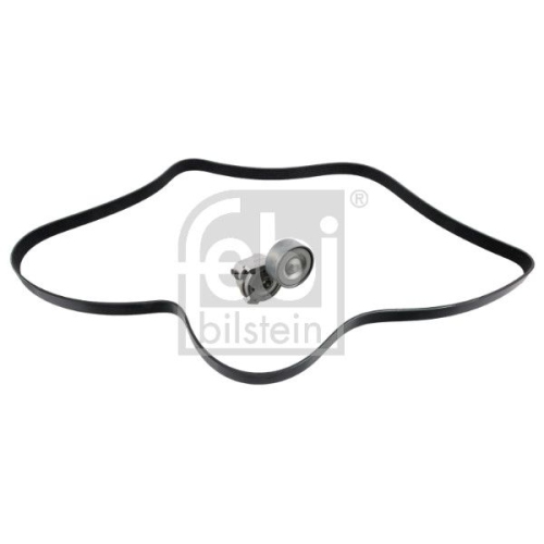 Febi Bilstein 30207 Keilrippenriemensatz mit Riemenspanner 8 Rippenanzahl,, 1 St&uuml;ck