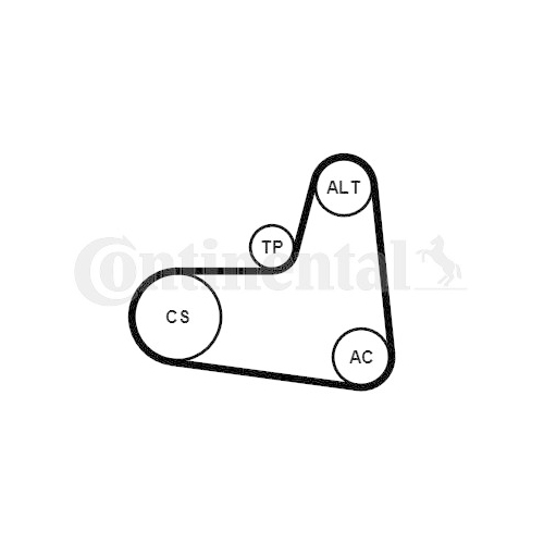 Keilrippenriemensatz CONTINENTAL CTAM 6PK995K1