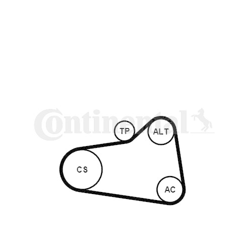 Keilrippenriemensatz CONTINENTAL CTAM 6PK905 EXTRA K1 f&uuml;r CITRO&Euml;N (DF-PSA)