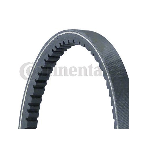 Keilriemen CONTINENTAL CTAM 11,0X528Ld f&uuml;r AUDI VW