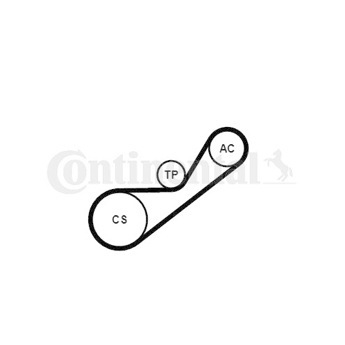 Keilrippenriemensatz CONTINENTAL CTAM 4PK925K1 f&uuml;r RENAULT