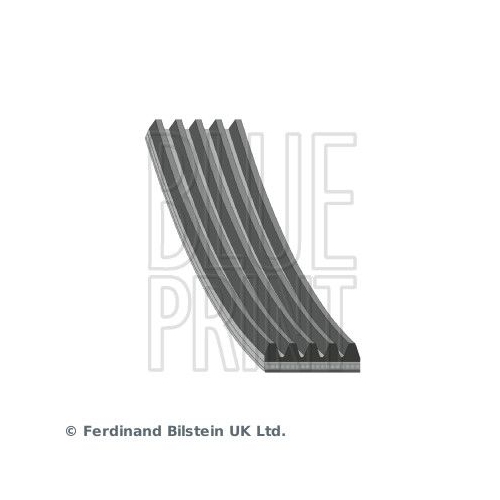 Blue Print 1x AD05R1000BP Keilrippenriemen