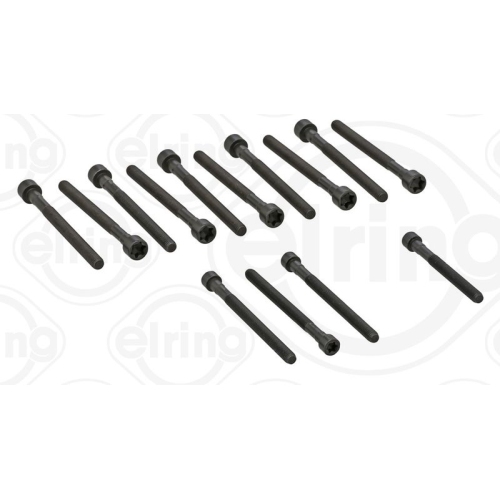 Zylinderkopfschraubensatz ELRING 270.190 f&uuml;r BMW