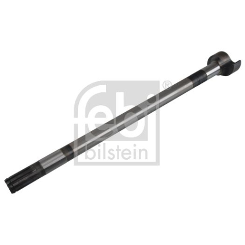 Febi Bilstein 172525 Bremsnockenwelle, 1 St&uuml;ck
