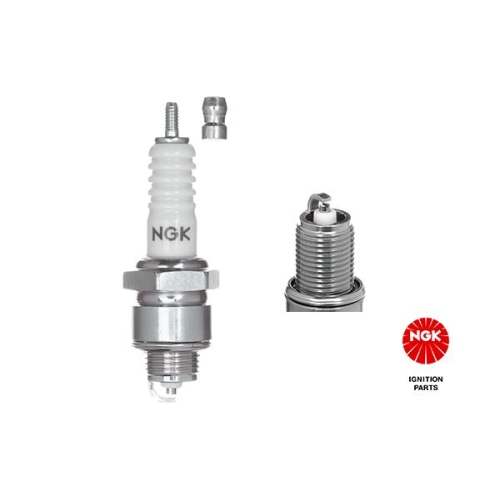Z&uuml;ndkerze NGK 7529 f&uuml;r ALFA ROMEO FIAT LANCIA MAZDA MITSUBISHI FERRARI MASERATI