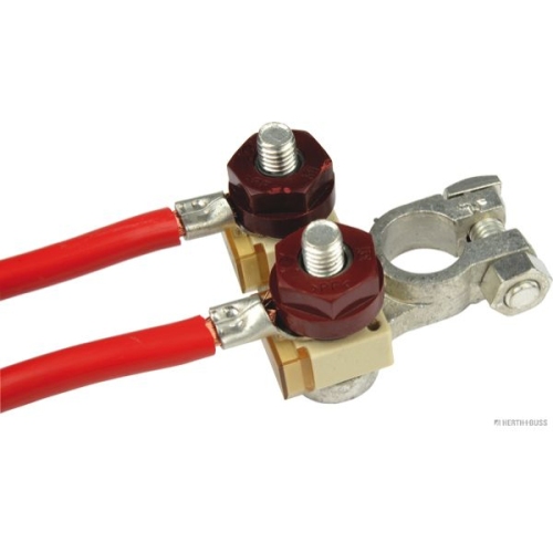 Batteriepolklemme HERTH+BUSS ELPARTS 52285033 f&uuml;r KRONE