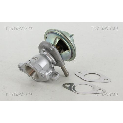 AGR-Ventil TRISCAN 8813 15029 f&uuml;r FIAT IVECO