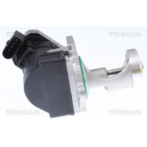 AGR-Ventil TRISCAN 8813 29043 f&uuml;r SEAT VW