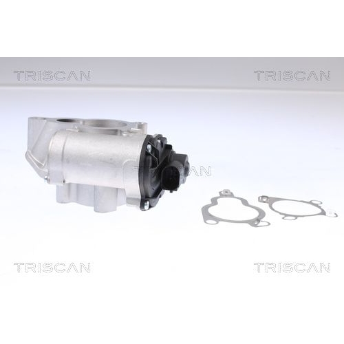 AGR-Ventil TRISCAN 8813 14025 f&uuml;r NISSAN