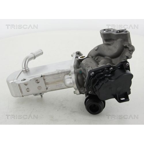 AGR-Ventil TRISCAN 8813 16014 f&uuml;r CITRO&Euml;N FIAT FORD PEUGEOT VOLVO