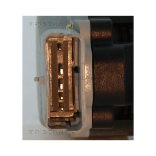 AGR-Ventil TRISCAN 8813 17020 f&uuml;r LAND ROVER, links