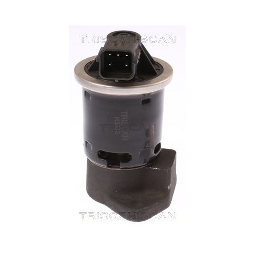 AGR-Ventil TRISCAN 8813 21004 f&uuml;r CHEVROLET DAEWOO