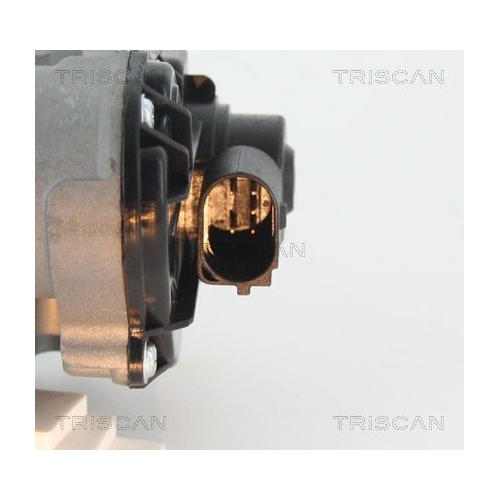 AGR-Ventil TRISCAN 8813 25010 f&uuml;r RENAULT
