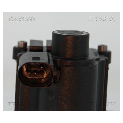 AGR-Ventil TRISCAN 8813 25039 f&uuml;r NISSAN RENAULT DACIA, links, oben, unten