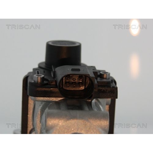 AGR-Ventil TRISCAN 8813 29002 f&uuml;r AUDI SEAT SKODA VW