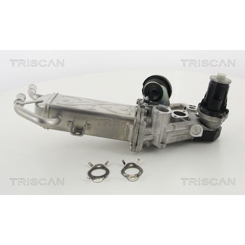 AGR-Ventil TRISCAN 8813 29325 f&uuml;r AUDI