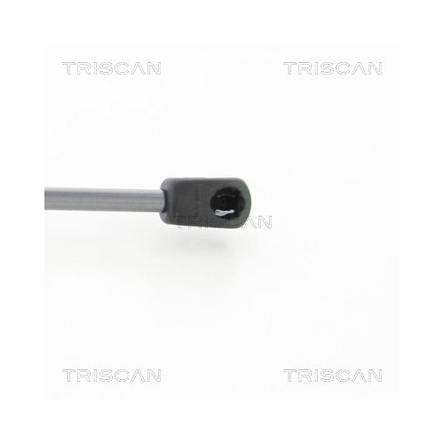 Gasfeder, Koffer-/Laderaum TRISCAN 8710 14252 f&uuml;r NISSAN