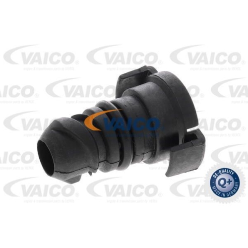 Verschlussschraube, &Ouml;lwanne VAICO V25-1293 EXPERT KITS + f&uuml;r FORD, motorseitig