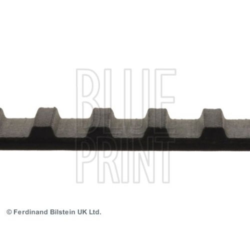 Blue Print 1x ADH27505BP Zahnriemen