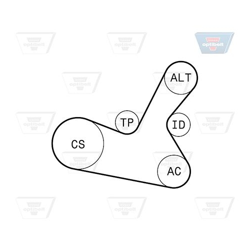 Keilrippenriemensatz OPTIBELT 5 PK 1300KT1 Optibelt-RBK KIT f&uuml;r
