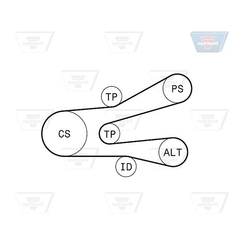 Keilrippenriemensatz OPTIBELT 6 PK 1440KT1 Optibelt-RBK KIT f&uuml;r