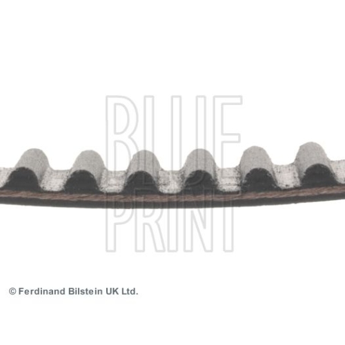 Blue Print 1x ADC47522BP Zahnriemen