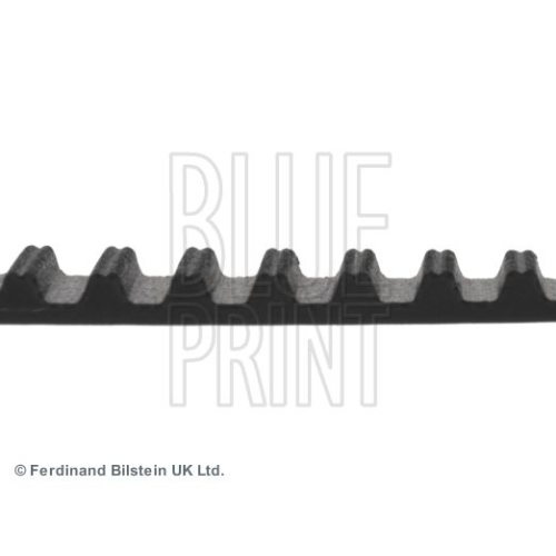 Blue Print 1x ADK87520BP Zahnriemen