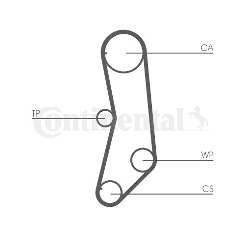 Wasserpumpe + Zahnriemensatz CONTINENTAL CTAM CT997WP1 f&uuml;r FIAT