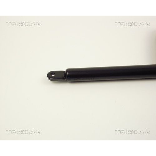 Gasfeder, Motorhaube TRISCAN 8710 2001 f&uuml;r PORSCHE, Kofferraum
