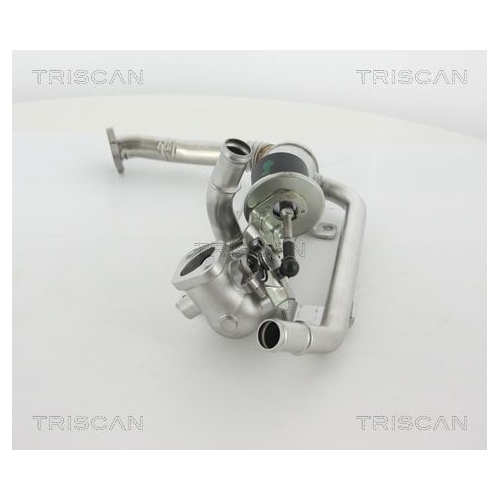 K&uuml;hler, Abgasr&uuml;ckf&uuml;hrung TRISCAN 8813 29319 f&uuml;r AUDI SEAT SKODA VW