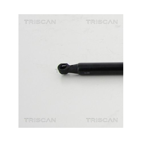 Gasfeder, Koffer-/Laderaum TRISCAN 8710 24254 f&uuml;r CHEVROLET
