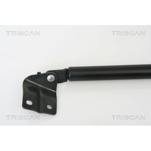Gasfeder, Koffer-/Laderaum TRISCAN 8710 69215 f&uuml;r SUBARU SUZUKI, rechts
