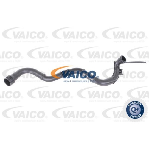 Ladeluftschlauch VAICO V46-0742 Q+, Erstausr&uuml;sterqualit&auml;t f&uuml;r RENAULT