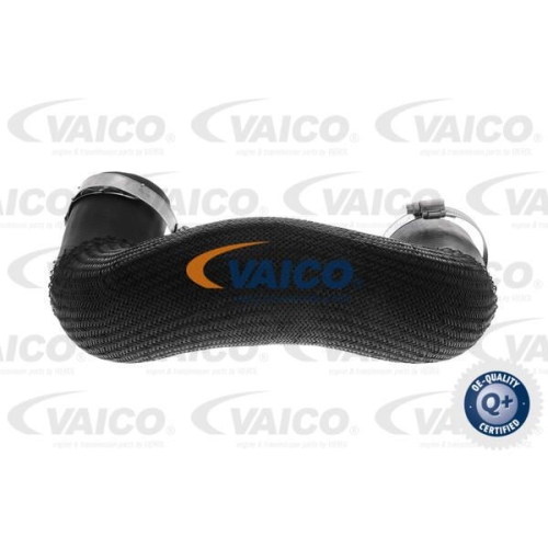 Ladeluftschlauch VAICO V46-0849 Q+, Erstausr&uuml;sterqualit&auml;t f&uuml;r RENAULT