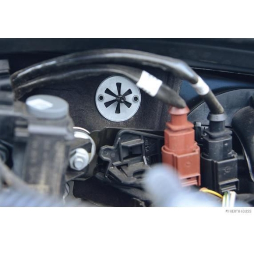 Halteklammer HERTH+BUSS ELPARTS 50267069 f&uuml;r AUDI FORD VW VAG, Fahrzeugt&uuml;r