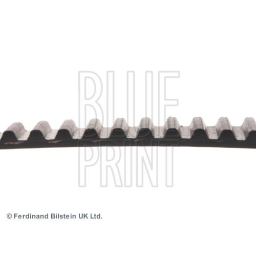 Blue Print 1x ADM57525BP Zahnriemen