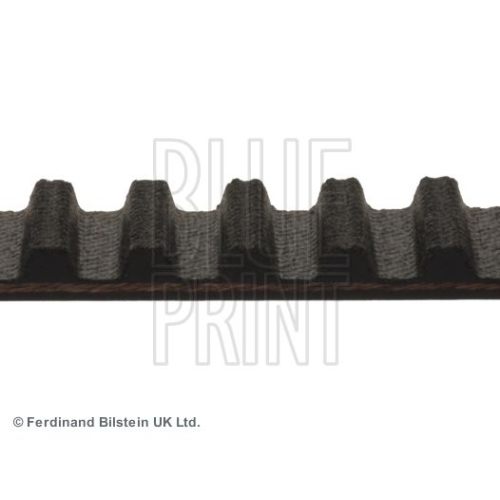 Blue Print 1x ADM57528BP Zahnriemen