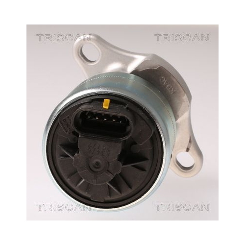 AGR-Ventil TRISCAN 8813 21026 f&uuml;r CHEVROLET DAEWOO