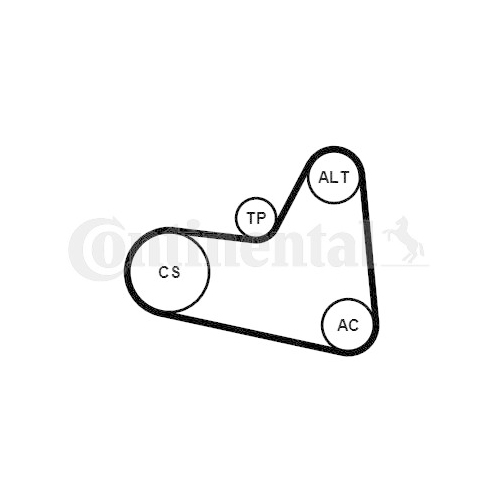 Keilrippenriemensatz CONTINENTAL CTAM 6PK976K1 f&uuml;r CITRO&Euml;N PEUGEOT