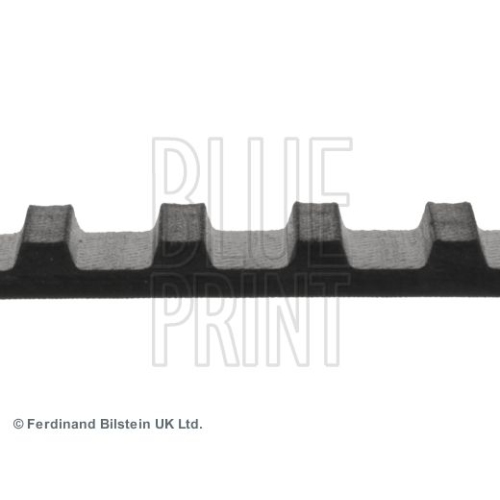 Blue Print 1x ADN17505BP Zahnriemen