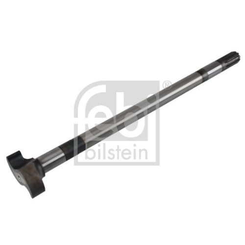 Febi Bilstein 172525 Bremsnockenwelle, 1 St&uuml;ck