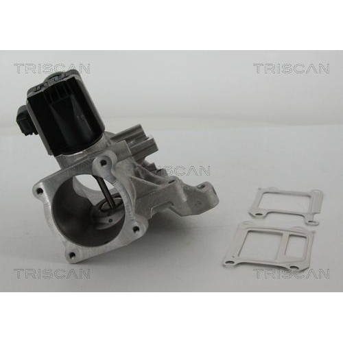 AGR-Ventil TRISCAN 8813 27102 f&uuml;r VOLVO