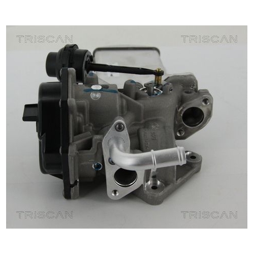 AGR-Ventil TRISCAN 8813 29303 f&uuml;r AUDI VW
