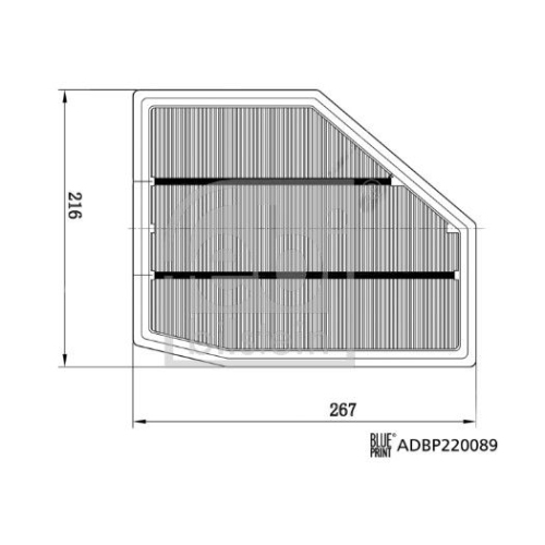 Luftfilter FEBI BILSTEIN 179009 f&uuml;r BMW, vorne rechts