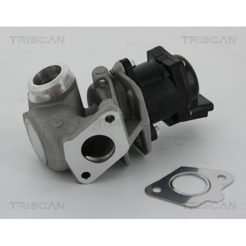 AGR-Ventil TRISCAN 8813 10010 f&uuml;r BMW CITRO&Euml;N FIAT FORD MAZDA PEUGEOT VOLVO MINI