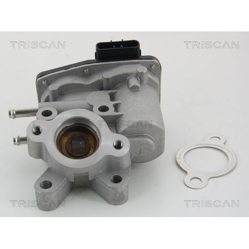 AGR-Ventil TRISCAN 8813 14100 f&uuml;r NISSAN