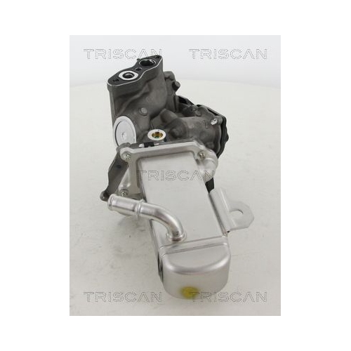 AGR-Ventil TRISCAN 8813 16014 f&uuml;r CITRO&Euml;N FIAT FORD PEUGEOT VOLVO